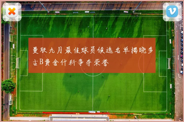 曼联九月最佳球员候选名单揭晓多古B费舍什科争夺荣誉