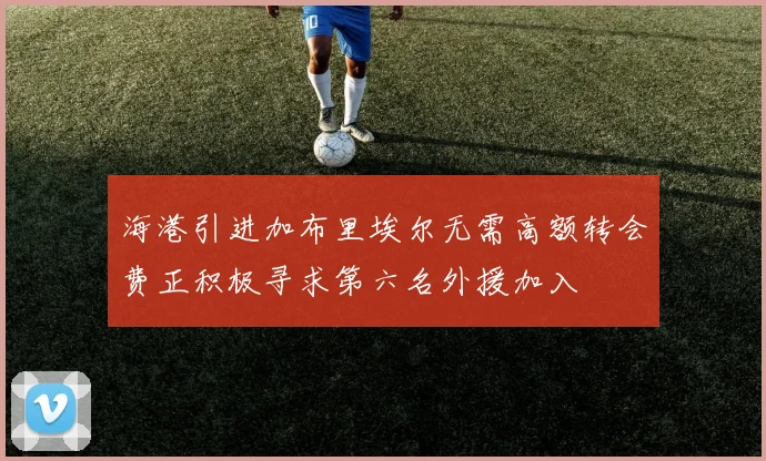 海港引进加布里埃尔无需高额转会费正积极寻求第六名外援加入