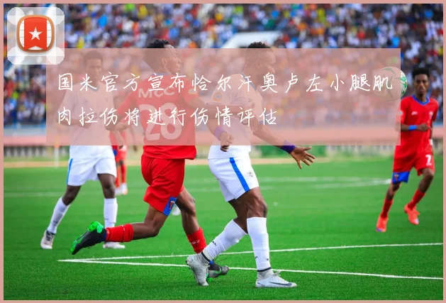 国米官方宣布恰尔汗奥卢左小腿肌肉拉伤将进行伤情评估