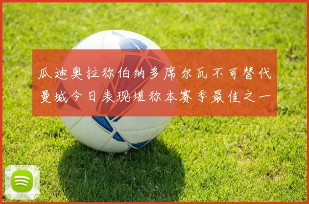 瓜迪奥拉称伯纳多席尔瓦不可替代曼城今日表现堪称本赛季最佳之一