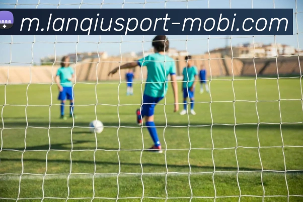 篮球赌注平台生态图